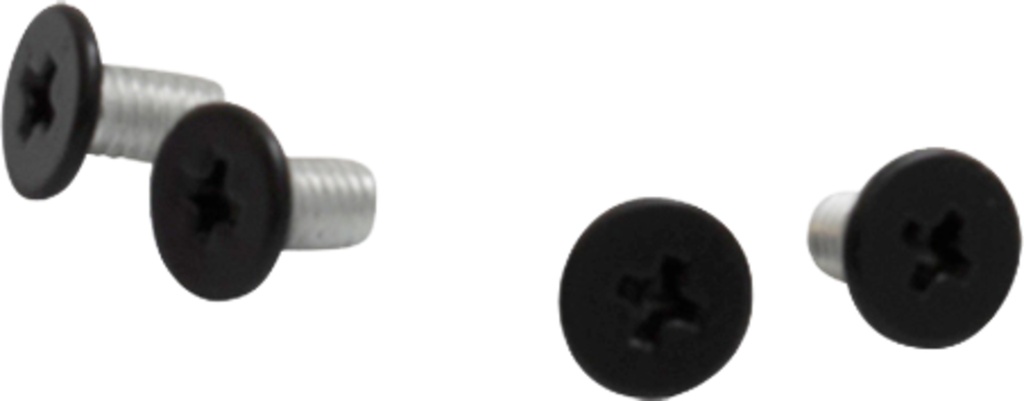 Separate visor screw iXS1100