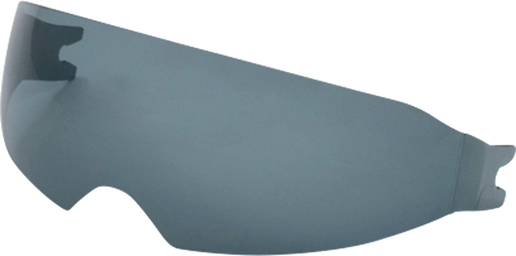 Sun Visor iXS1100
